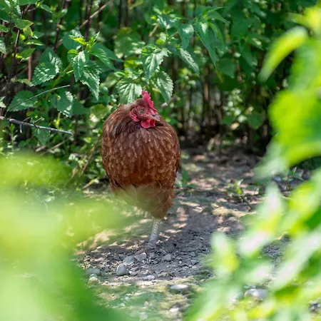 La Fucina Lantgård Vigliano Biellese
