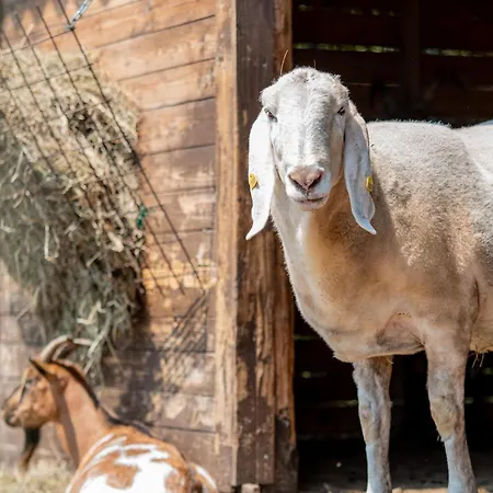 Farm stay La Fucina